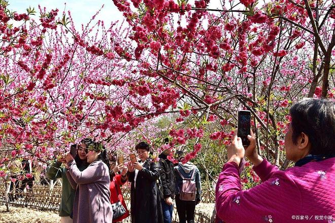 熊集桃花节在哪儿办啊？(图1)