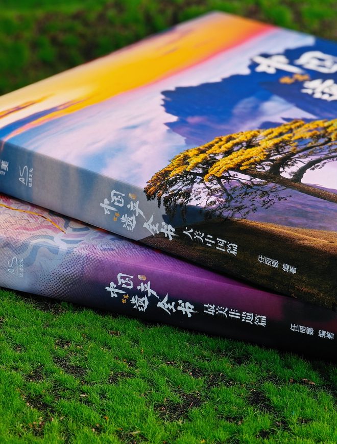 刘诗诗新剧杀疯了！片尾彩蛋曝光引全网泪目：这才是文化自信的王炸！(图5)