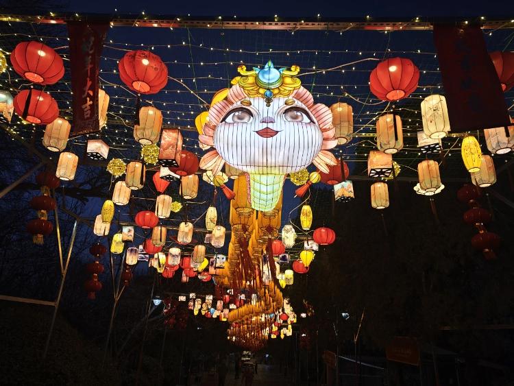 “泉”在济南过大年｜济南公园“扮靓”迎新春共赏年味狂欢盛宴_今日头条_大众网(图3)
