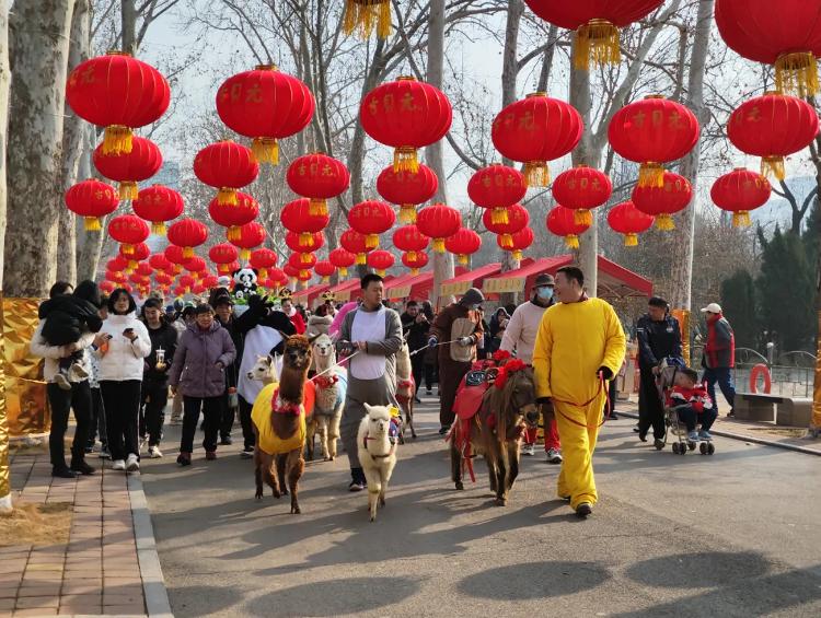 “泉”在济南过大年｜济南公园“扮靓”迎新春共赏年味狂欢盛宴_今日头条_大众网(图6)